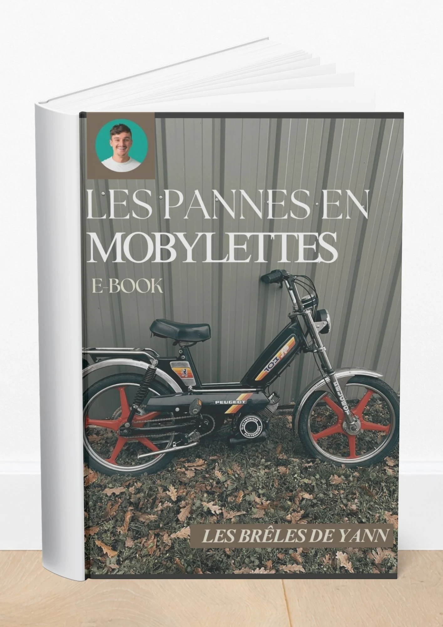 E BOOK : Pannes mobylettes – Image 2