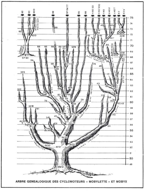 Arbre  généalogique des modèles de mobylette
